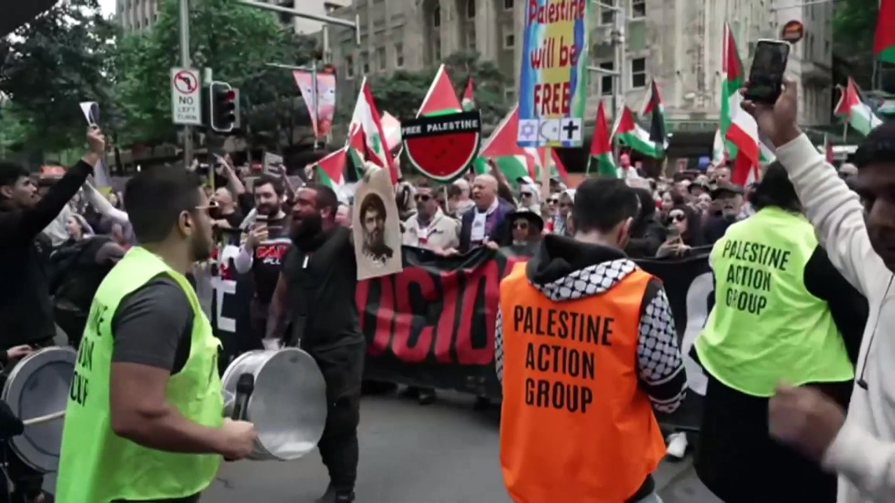 Pro-Palestinian events in Sydney's CBD to go ahead after police withdraw NSW Supreme Court application
