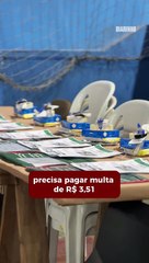 Pronto para votar? Tudo o que você precisa saber para o dia 6 de outubro