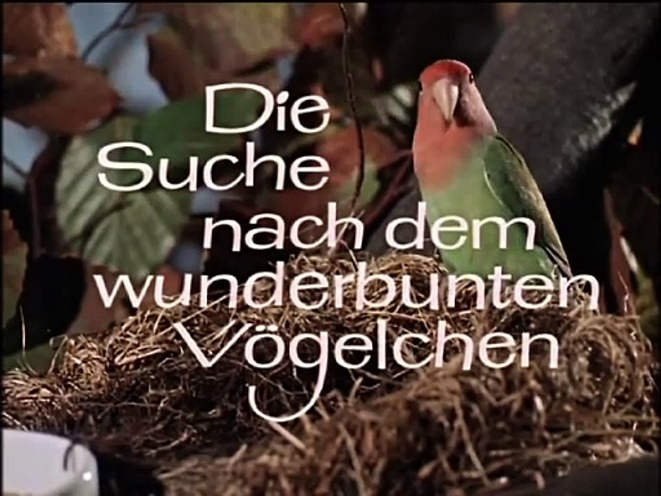 Die Suche nach dem wunderbunten Vögelchen | movie | 1964 | Official Clip