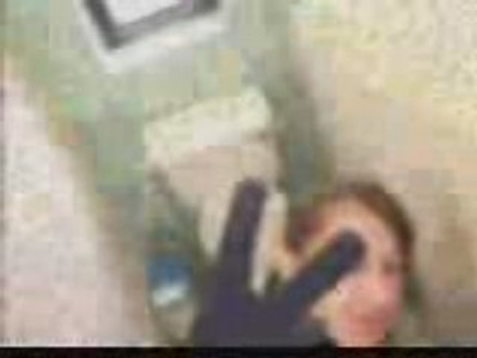 Voyage en Angleterre ( L )  2008