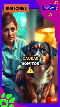 ¡Los 10 Alimentos Más PELIGROSOS para Perros!