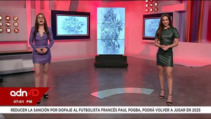 Delincuentes se hacen pasar por fumigadores I Ciudad Desnuda