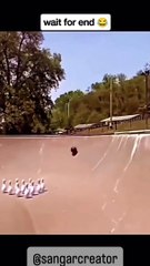 Dog funny moments /Animal comedy video/funny videos #comdey #viral