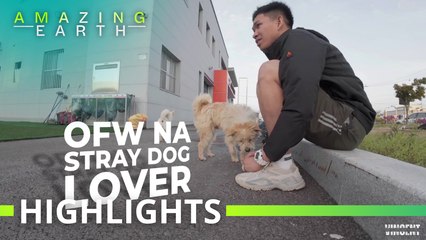 Amazing Earth: A Filipino OFW’s heartwarming bond with stray dogs in South Korea!