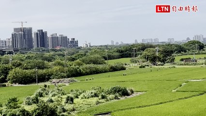 盼了數十年 新竹台1線替代道118號縣道~台68線段12日開工