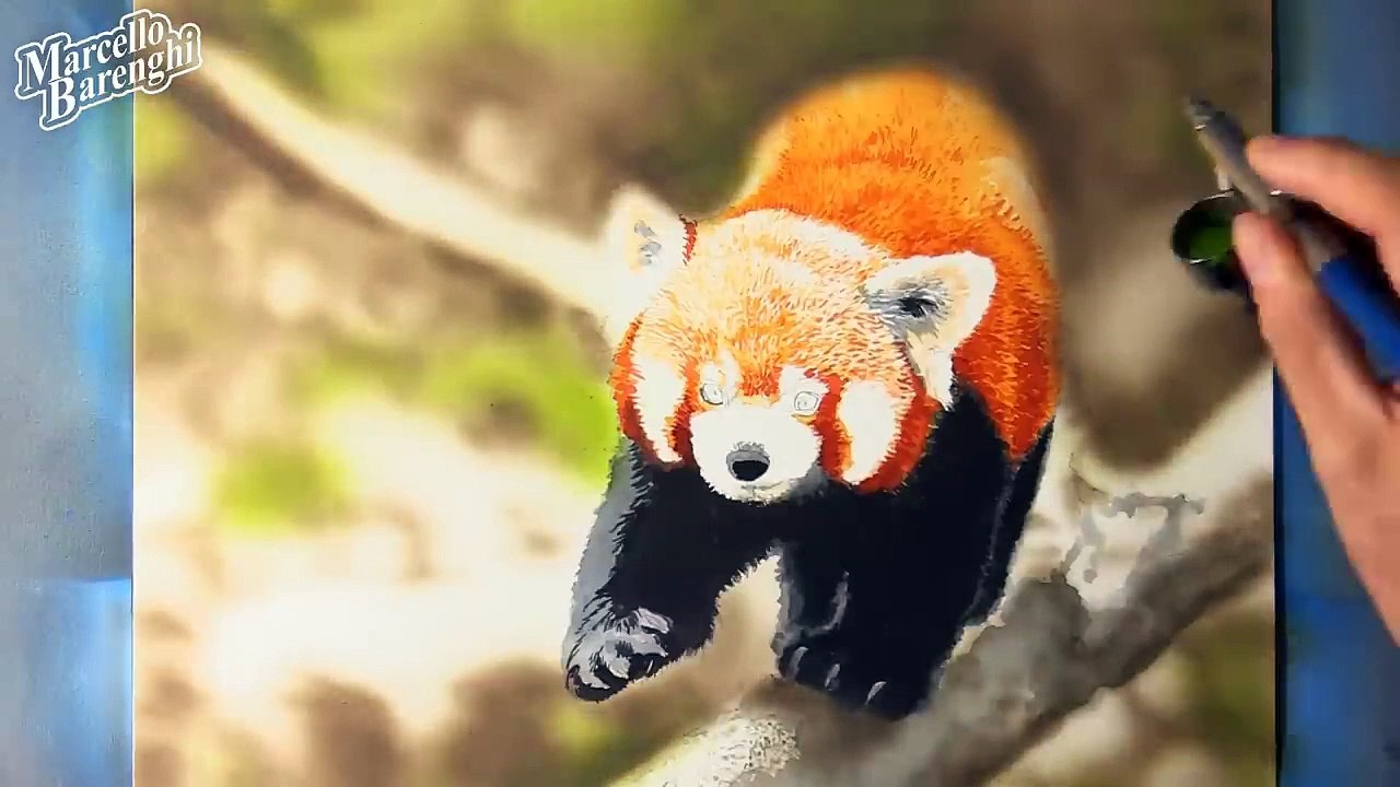 Red Panda Drawing (...that looks like a photo!)