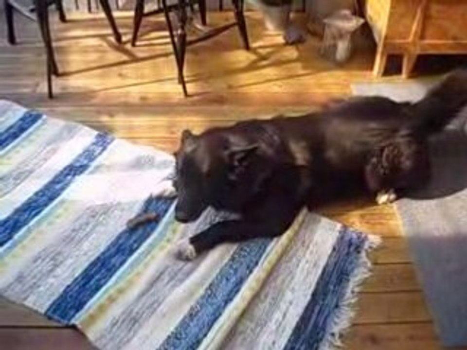 Zack leker med godis