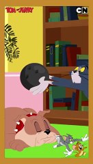 Tom & Jerry | The Cat & Dog | CK FUN TV