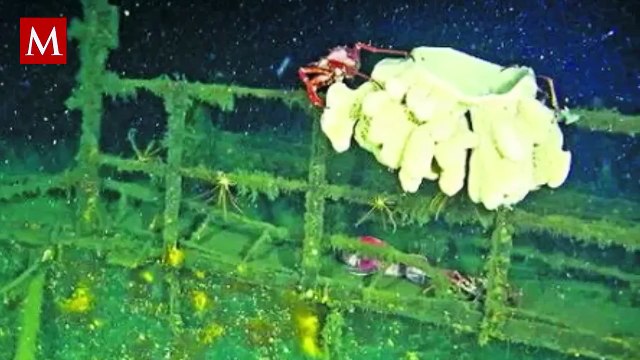 Hallan el barco fantasma de la Segunda Guerra Mundial en el Pacífico