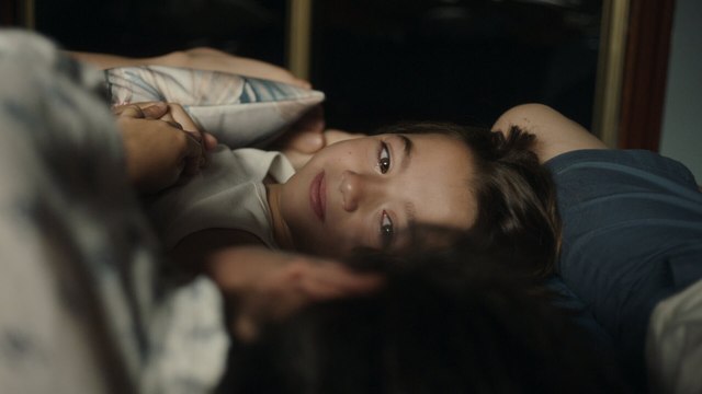 20 000 espèces d'abeilles