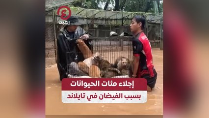 إجلاء مئات الحيوانات بسبب الفيضان في تايلاند