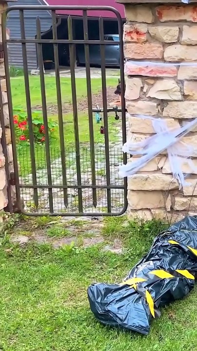 Halloween crafts and decorations 