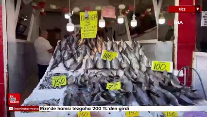 Rize’de hamsi tezgaha 200 TL’den girdi