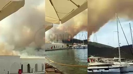 Download Video: İzmir Foça'daki yangın kontrolden çıktı!