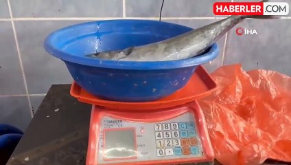Hamsi fiyatları palamudu geçti: Karadeniz'in incisi 200 TL'den satılıyor