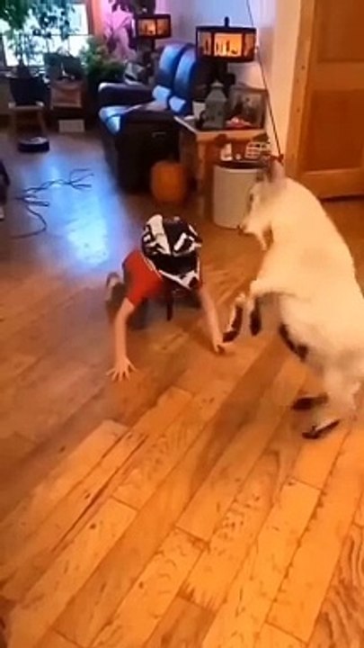 Say no to babysitting #react #comedy #funnyvideos #reels #explore  #explorepage #funny #relatable #shorts #funnyshorts #trending #viral #top #latest #new #fun