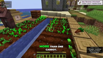 Minecraft_But__There_Are_More_Custom_Carrots!