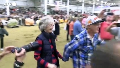 Usa, alla fiera di Topsfield il contest delle mega-zucche