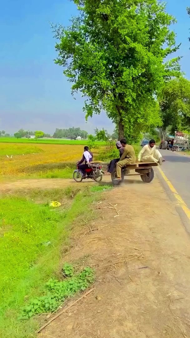 Funny video comedy video Entertainment