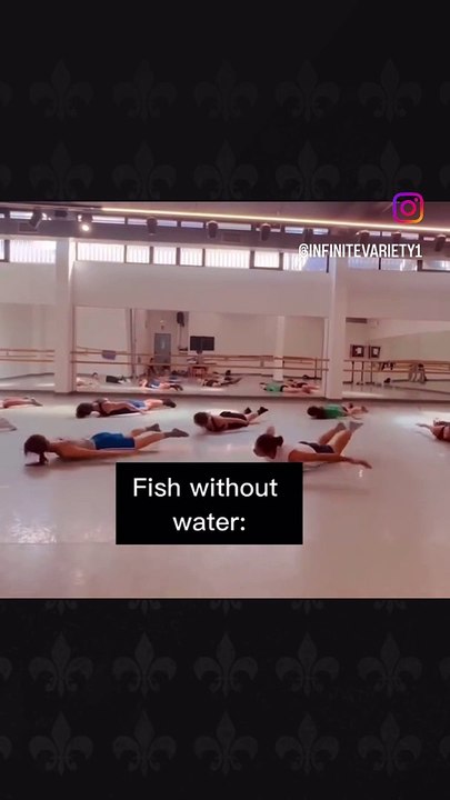 Funny Fish Lesson Part 2
