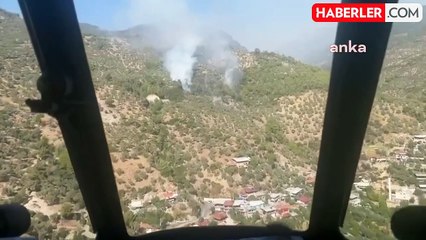 Aydın'da Zeytinlik Alanda Yangın