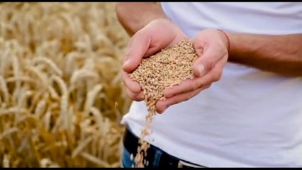 A Flumeri la 14esima edizione di "IncontrArmando"