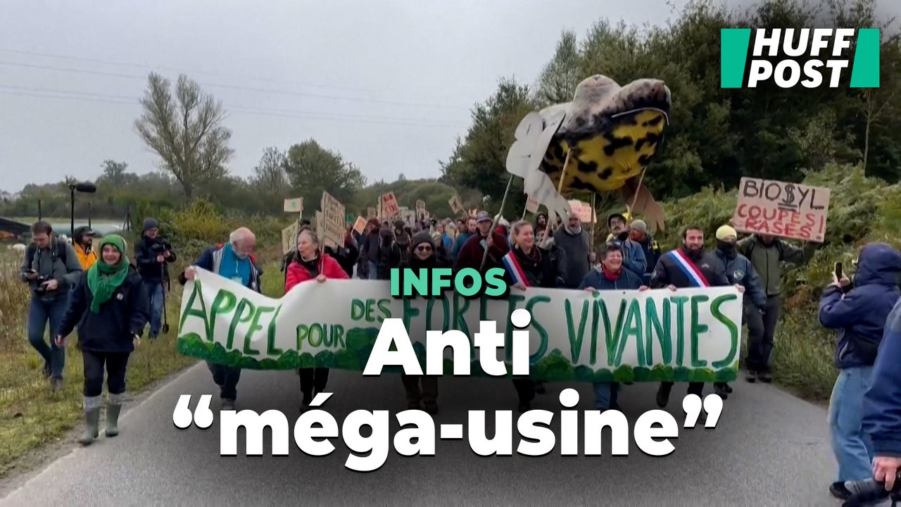 À Guéret, des centaines de manifestants défilent contre la construction d’une « méga-usine » à bois