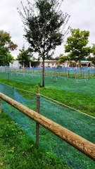 Brumath Bike Festival  en Stories 1er Jour 5 Octobre  2024