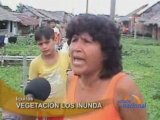 VEGETACIÓN LOS INUNDA - IQUITOS