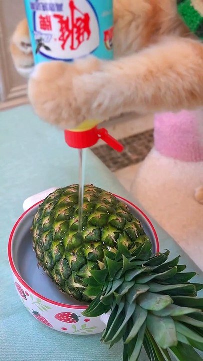 Eat popsicles!Homemade pineapple Popsicle. #funnyvideo #funnycats