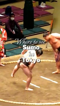 Sumo in Tokyo #shorts #sumo #japan #tokyo