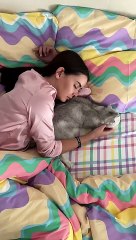 And who would you save？ #cat #cats