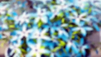 Tập 27 - Nữ Hoàng Trả Giá (Thuyết minh)_DV Lâm Canh Tân, Ngô Cẩn Ngôn