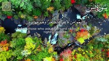 Surah-Yaseen-Qari-Tareq-Mohammed-سورة-يس_41