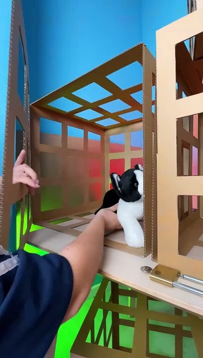 I Rescued a Cat from the Pet Police