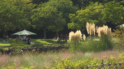 울산 관광객 역대 최다...'국가정원' 효과 / YTN