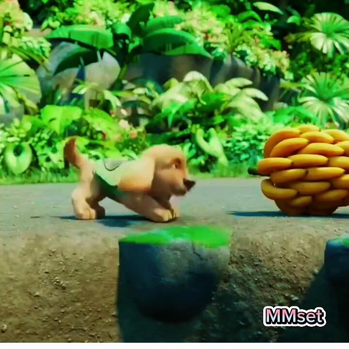 Monkey and elephant cartoon