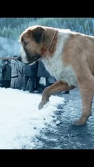 Top Movie on Netflix in 2024 _movies _fyp _tiktok(MP4)