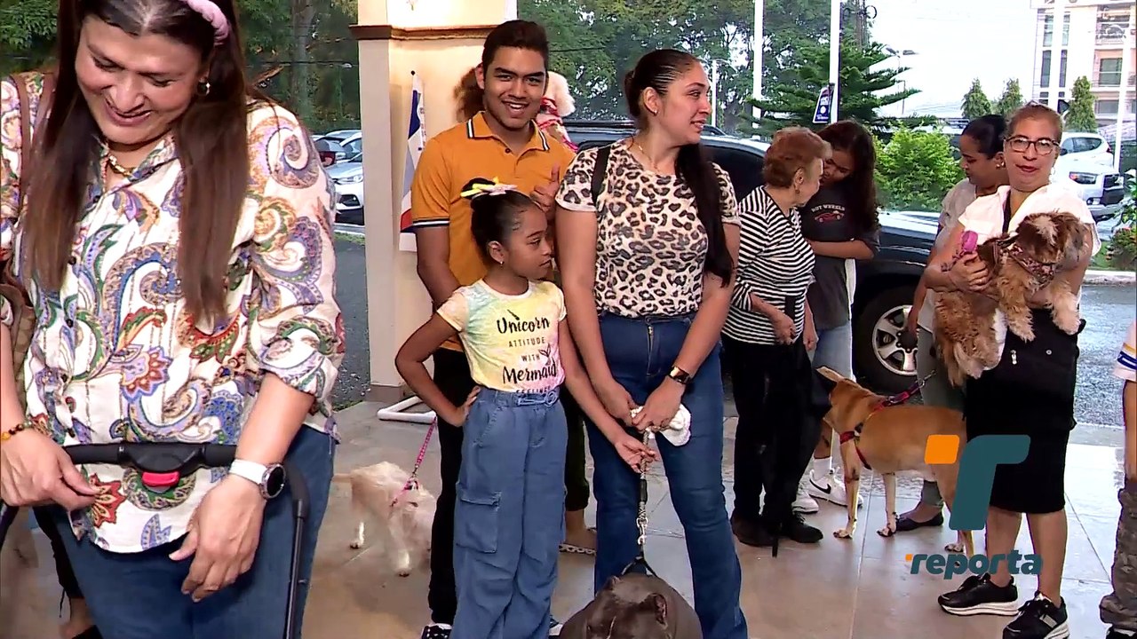 Mascotas reciben la bendición en conmemoración de San Francisco de Asís