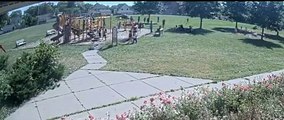 10-Year-Old's Dangerous Joyride Through Minneapolis Park Caught on Camera