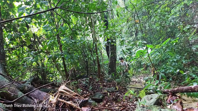 Construindo uma nova vida Ep.1 - Faça a fundação da casa e limpe a grama da fazenda na floresta.