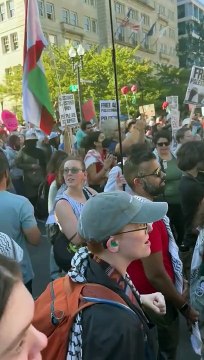 Centenas manifestam-se frente à Casa Branca contra genocídio em Gaza