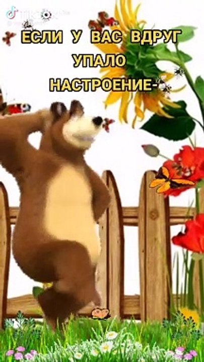 funny -20241002-WA0000