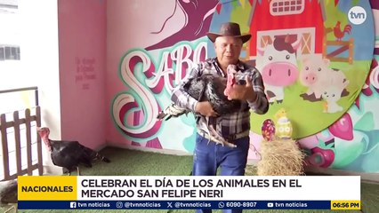 Celebran el Día de los Animales en el Mercado San Felipe Neri