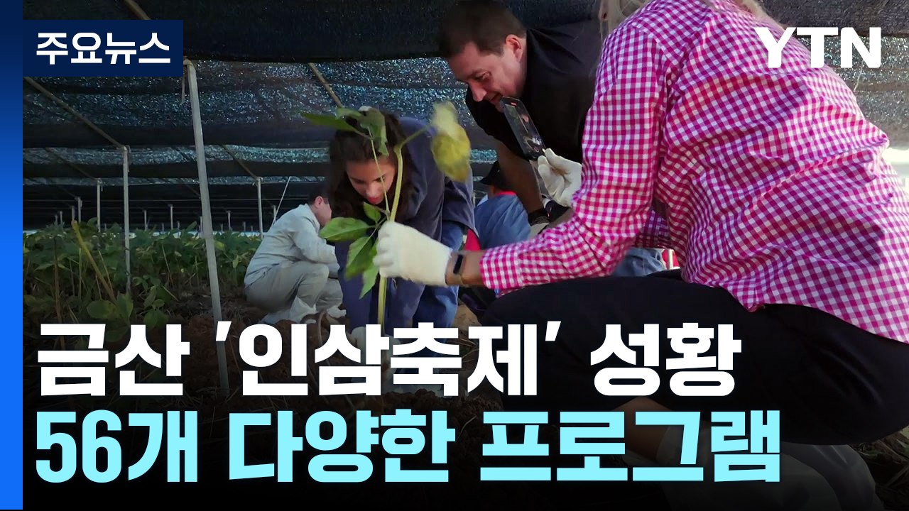 '심 봤다!' 몸도 마음도 건강한 금산 인삼축제 / YTN - 동영상 Dailymotion