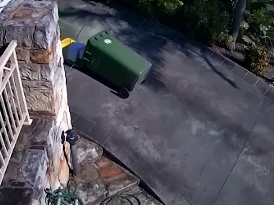 Funny video #funny #viral #trending #comedy #short #viralshorts #entertainment #fun