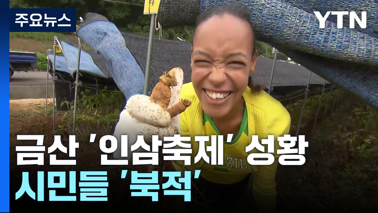 '심 봤다!' 몸도 마음도 건강한 금산 인삼축제 / YTN