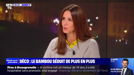 Vaisselle, parquet, mobilier… Le bambou séduit de plus en plus