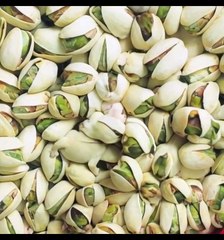  Dogs Love Vegetables: A Healthy Snack Adventure!