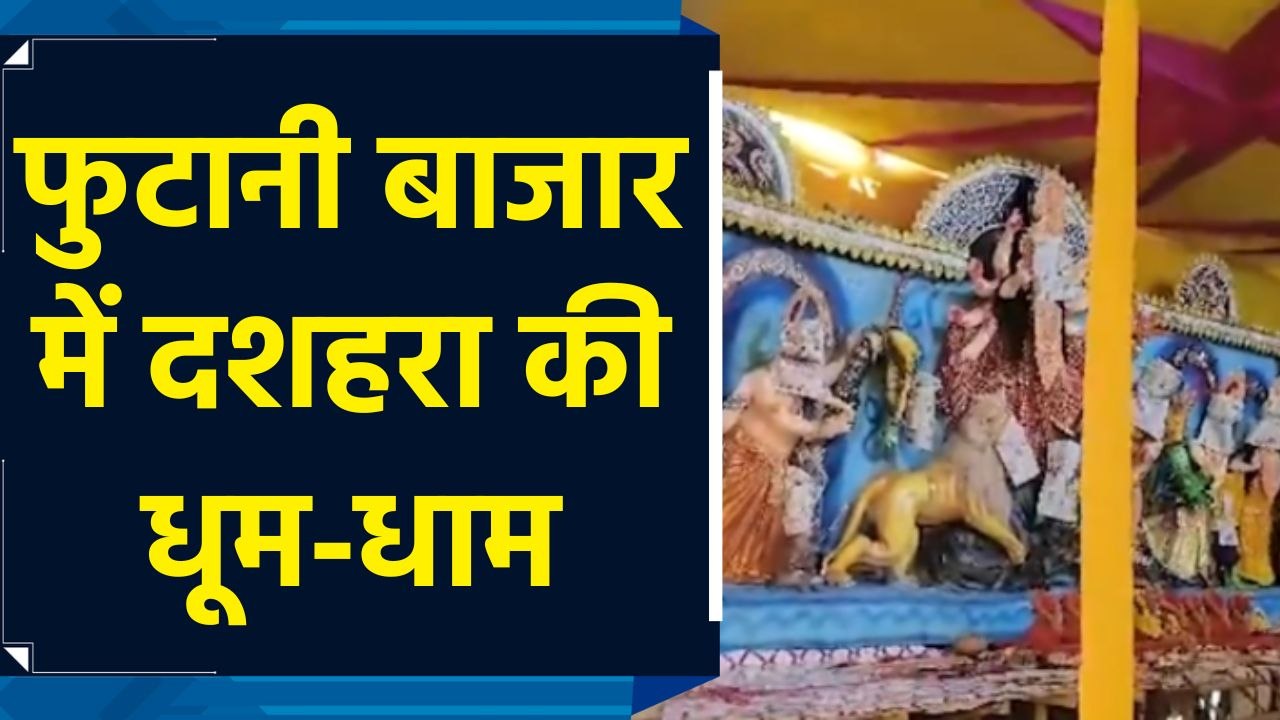 फुटानी बाजार में जुरासिक पार्क थीम वाला आकर्षक पूजा पंडाल सजाया गया है